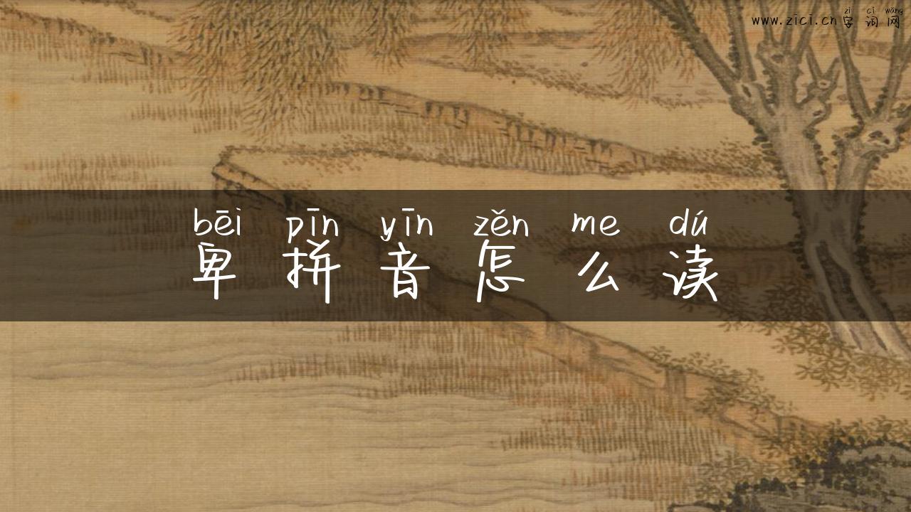 卑拼音怎么读