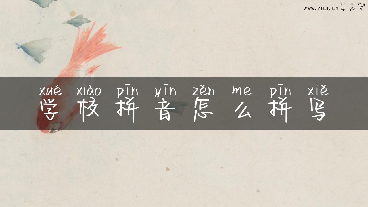 学校拼音怎么拼写