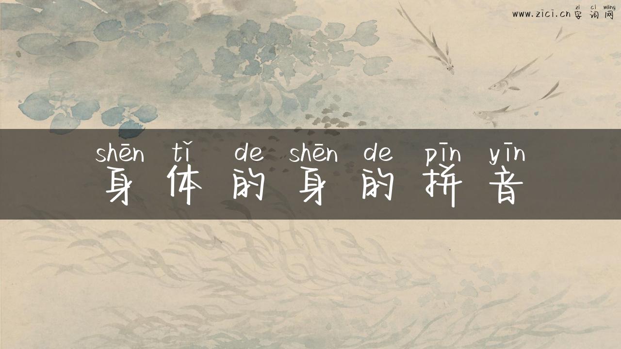 身体的身的拼音