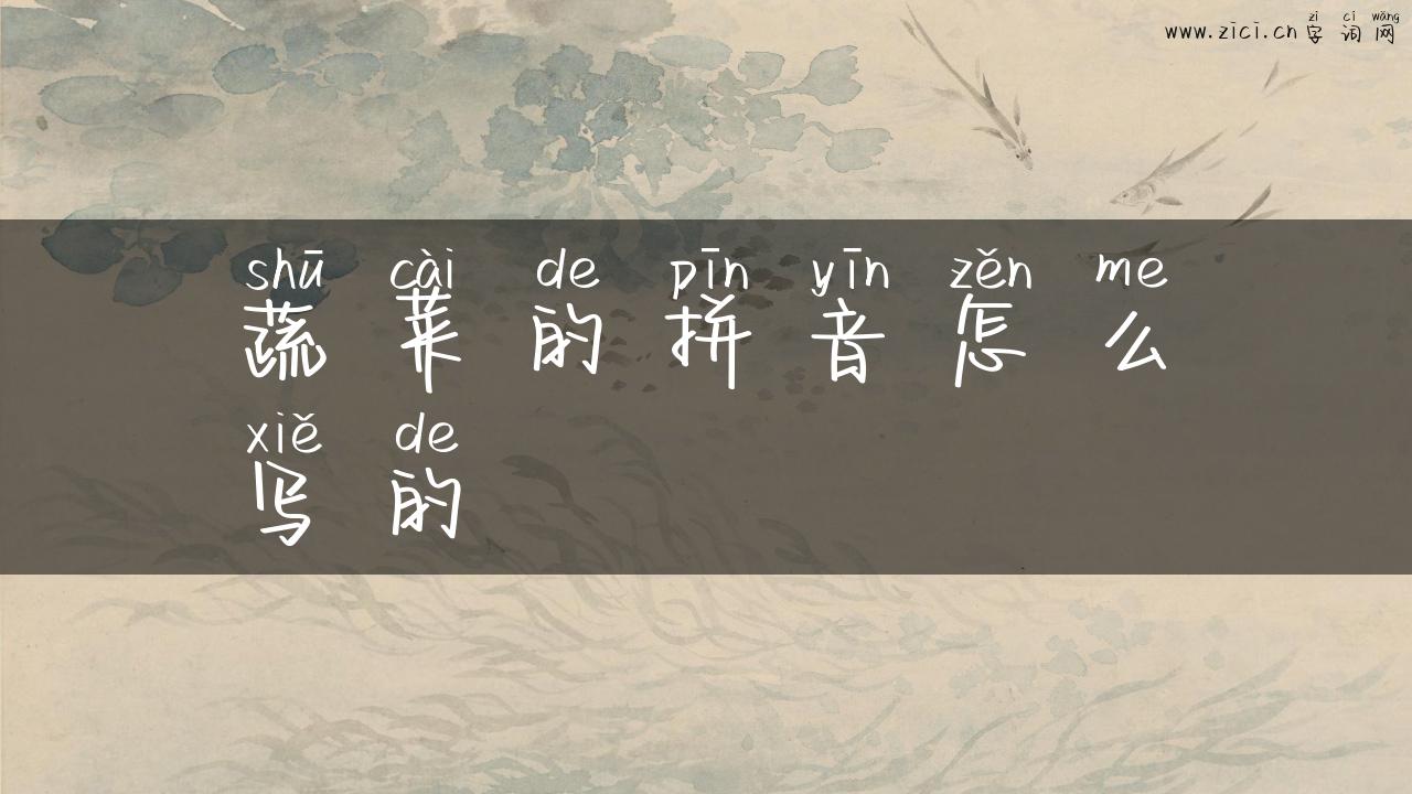 蔬菜的拼音怎么写的