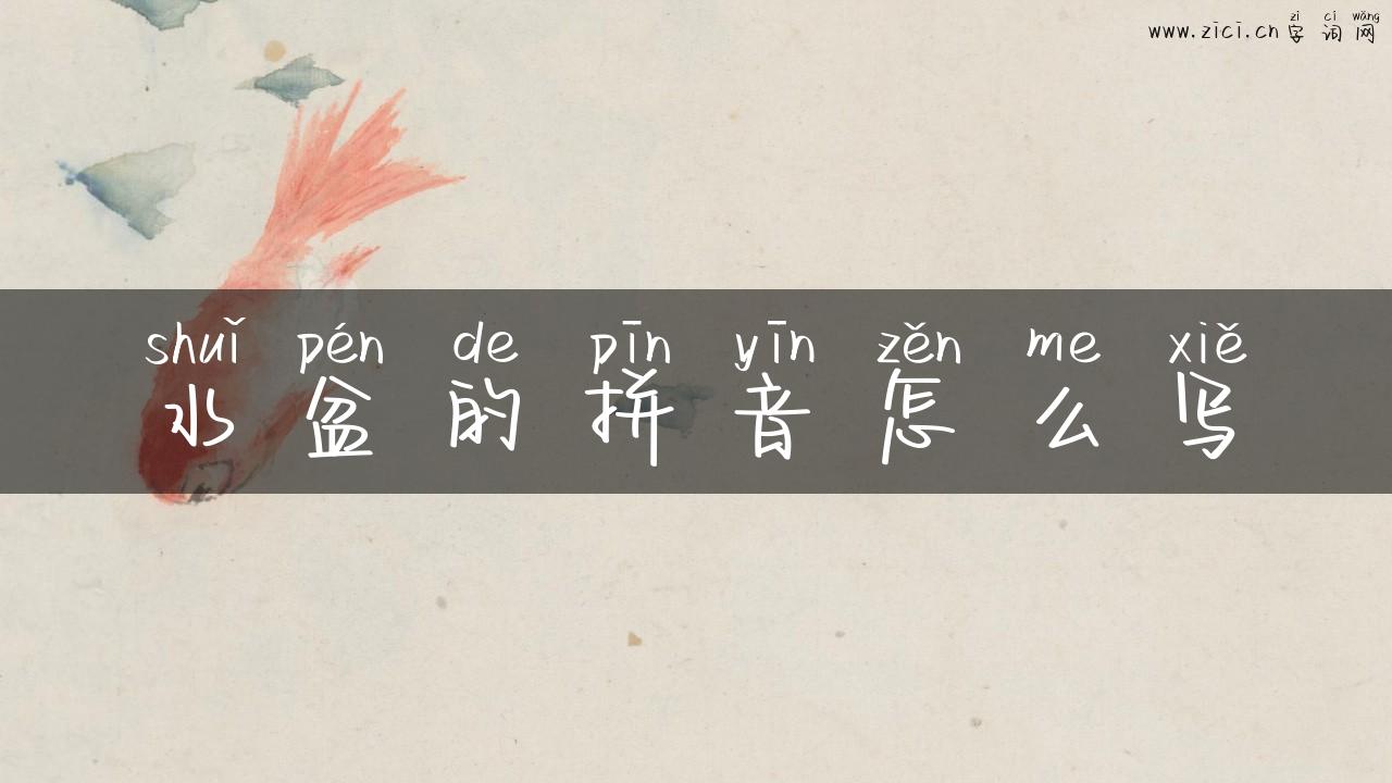 水盆的拼音怎么写