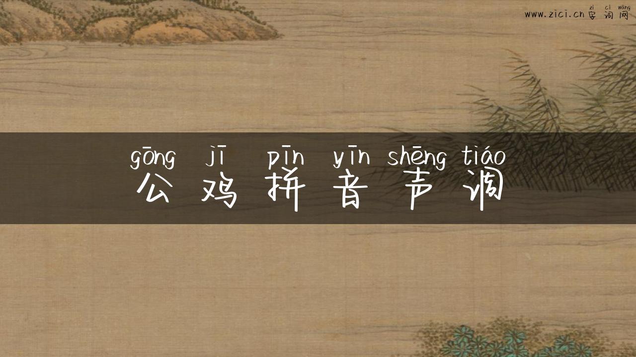 公鸡拼音声调