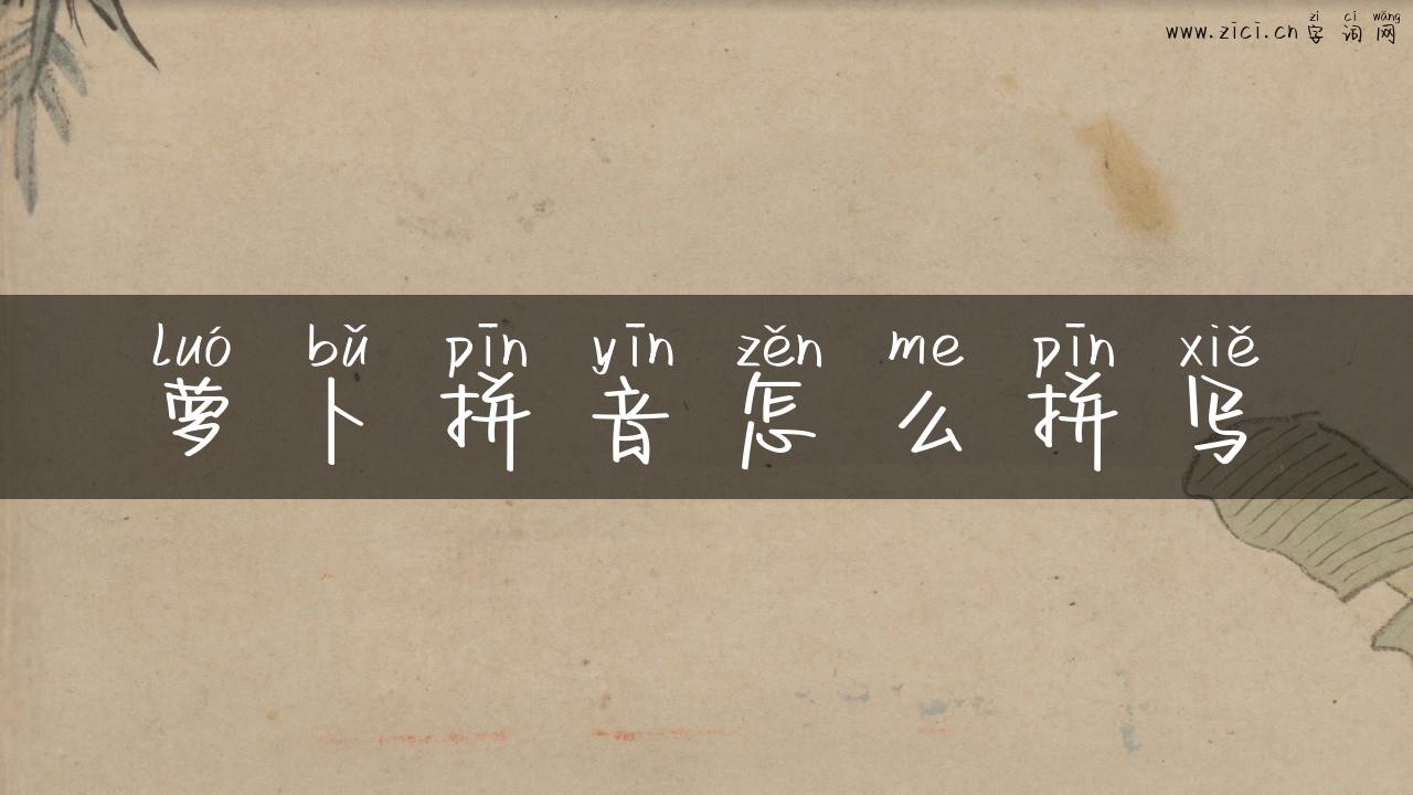 萝卜拼音怎么拼写