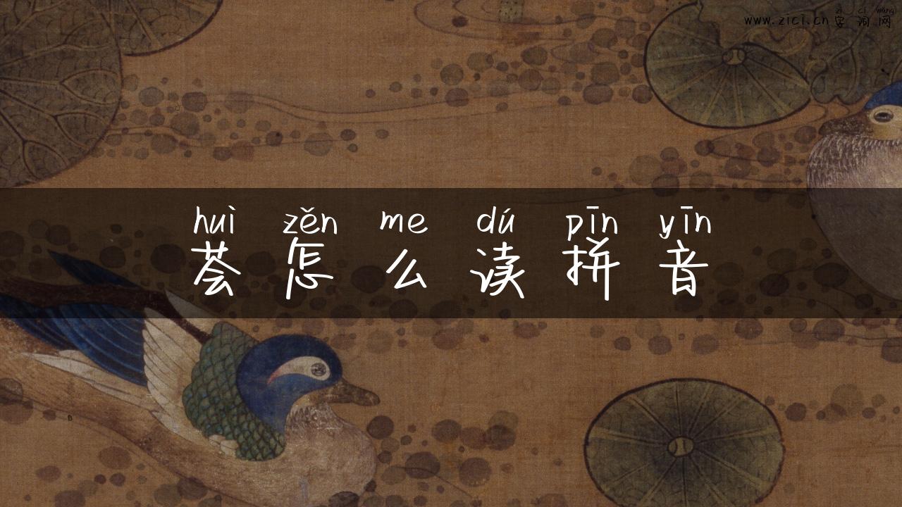 荟怎么读拼音
