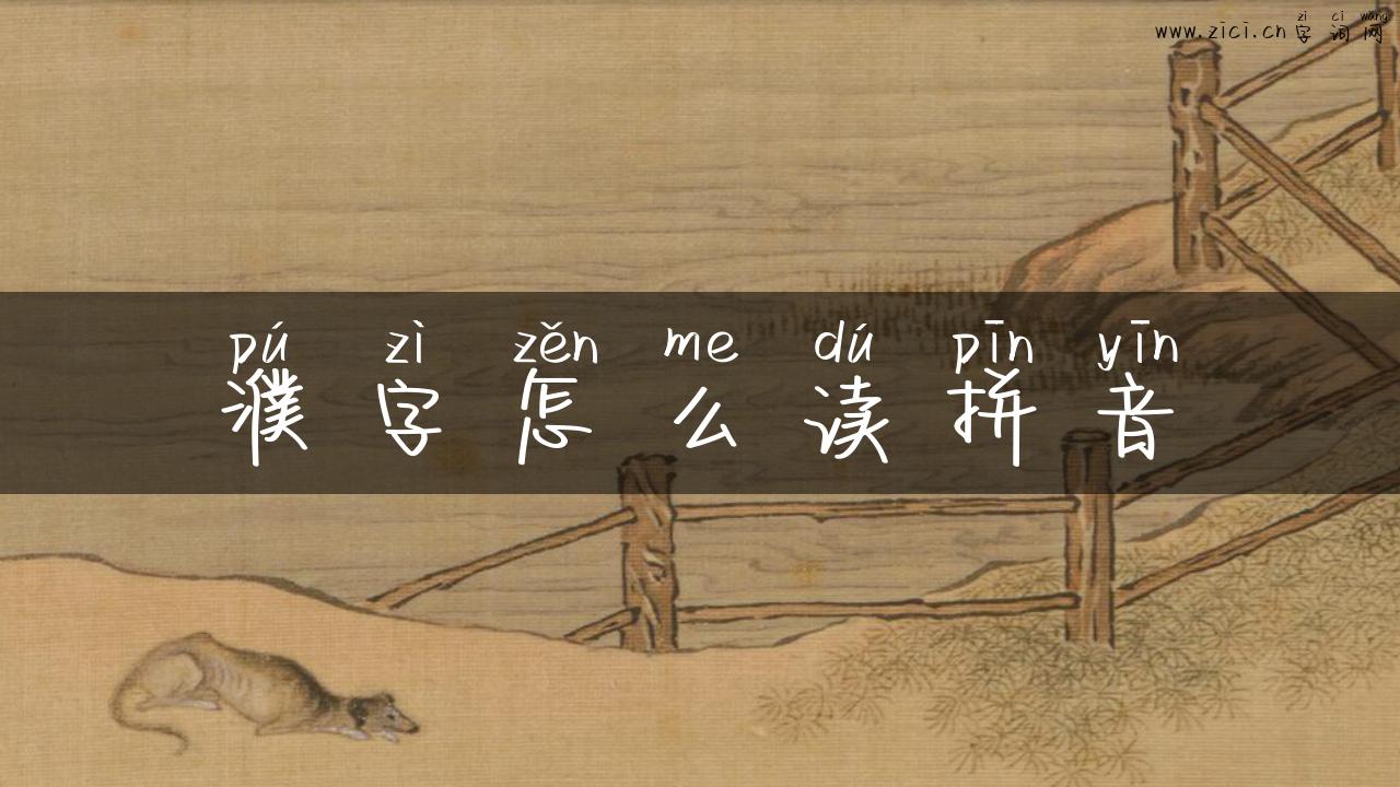 濮字怎么读拼音