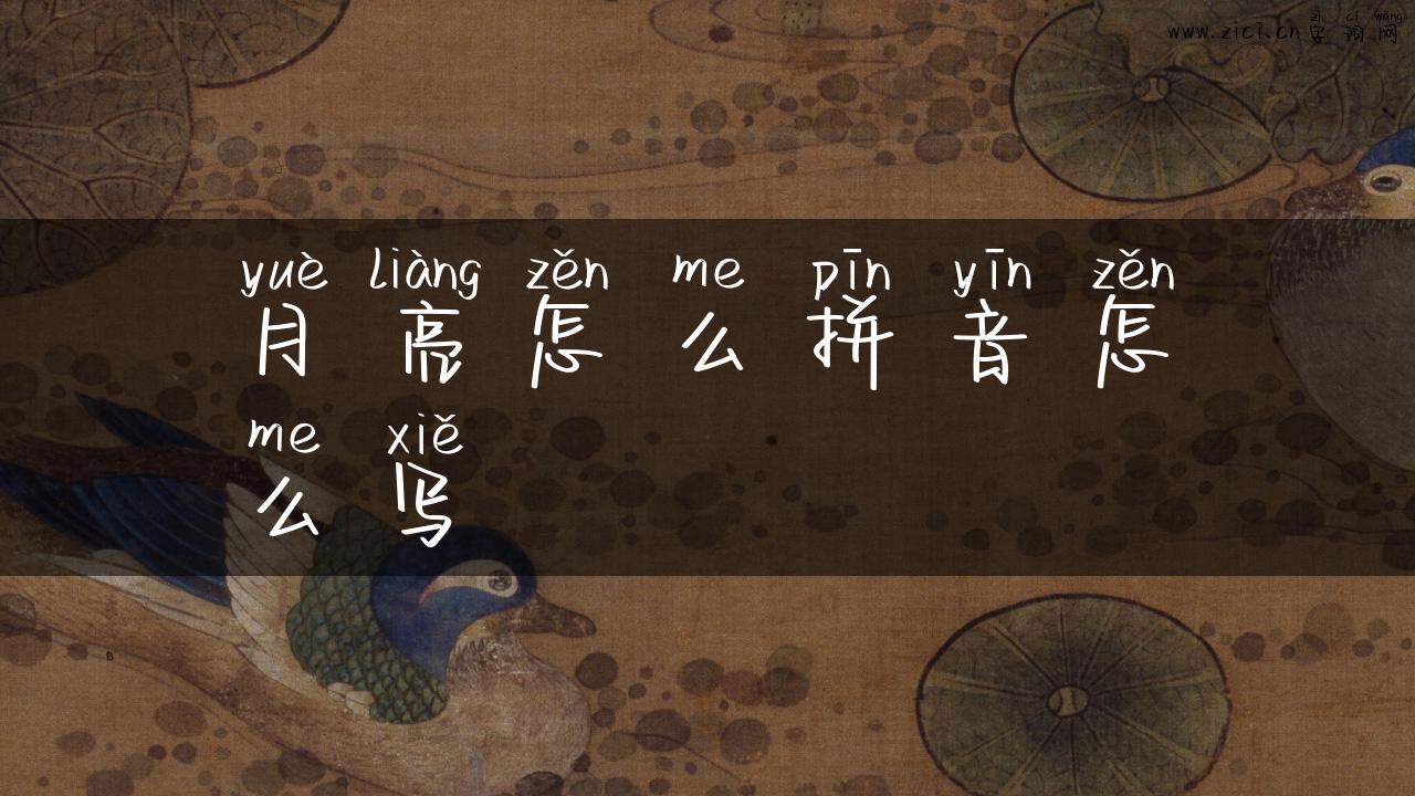 月亮怎么拼音怎么写