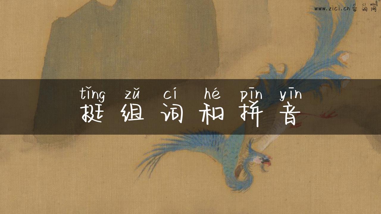 挺组词和拼音