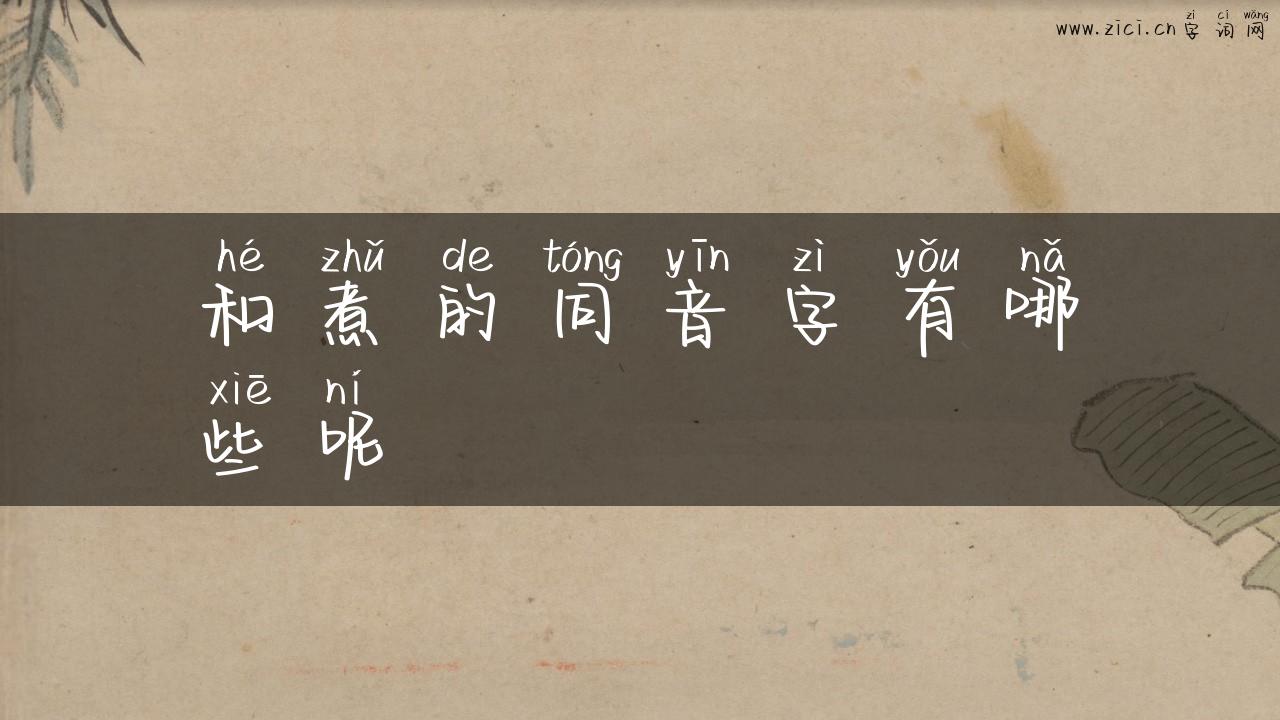 和煮的同音字有哪些呢