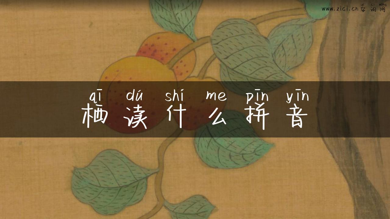 栖读什么拼音