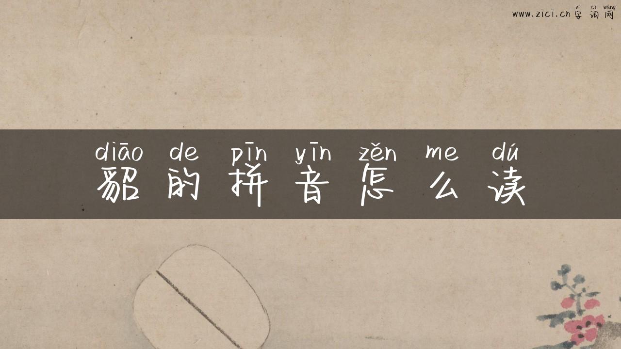 貂的拼音怎么读