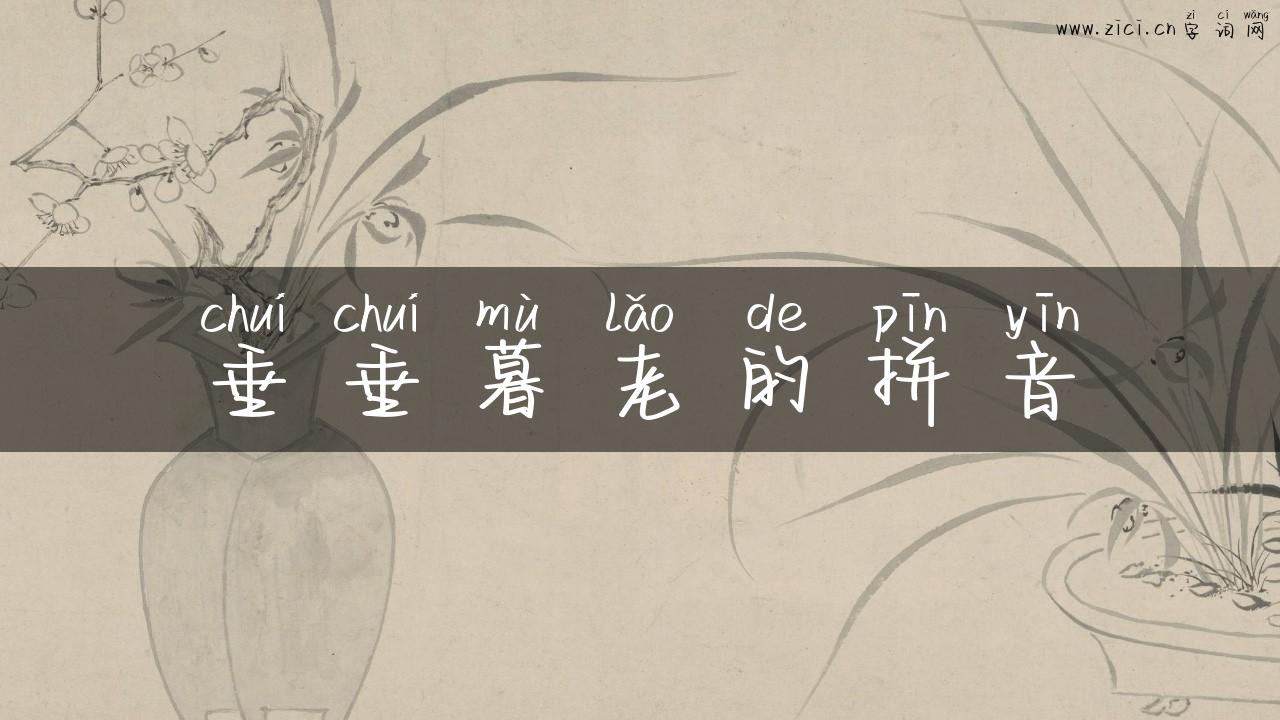 垂垂暮老的拼音