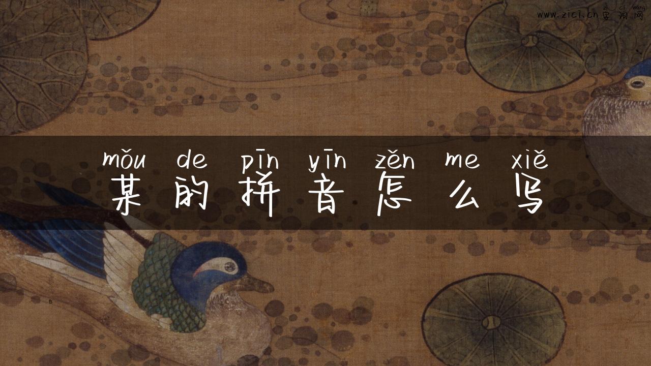 某的拼音怎么写