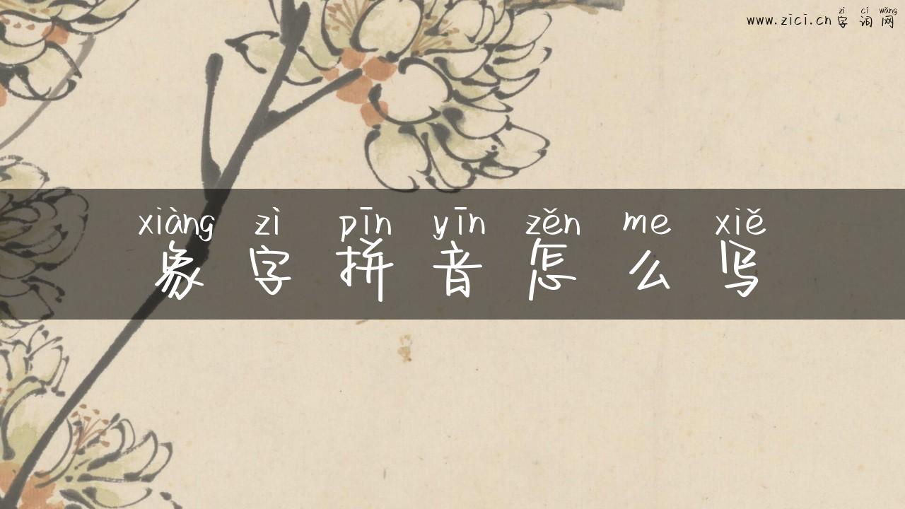 象字拼音怎么写