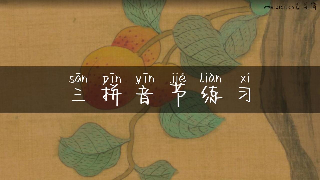 三拼音节练习