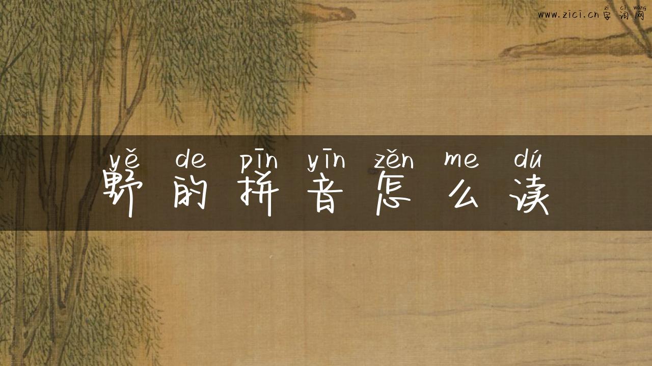 野的拼音怎么读