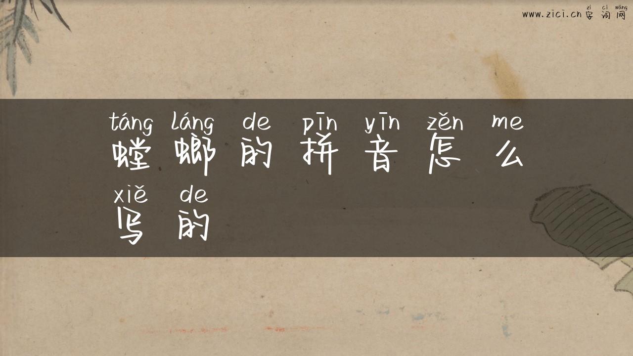 螳螂的拼音怎么写的