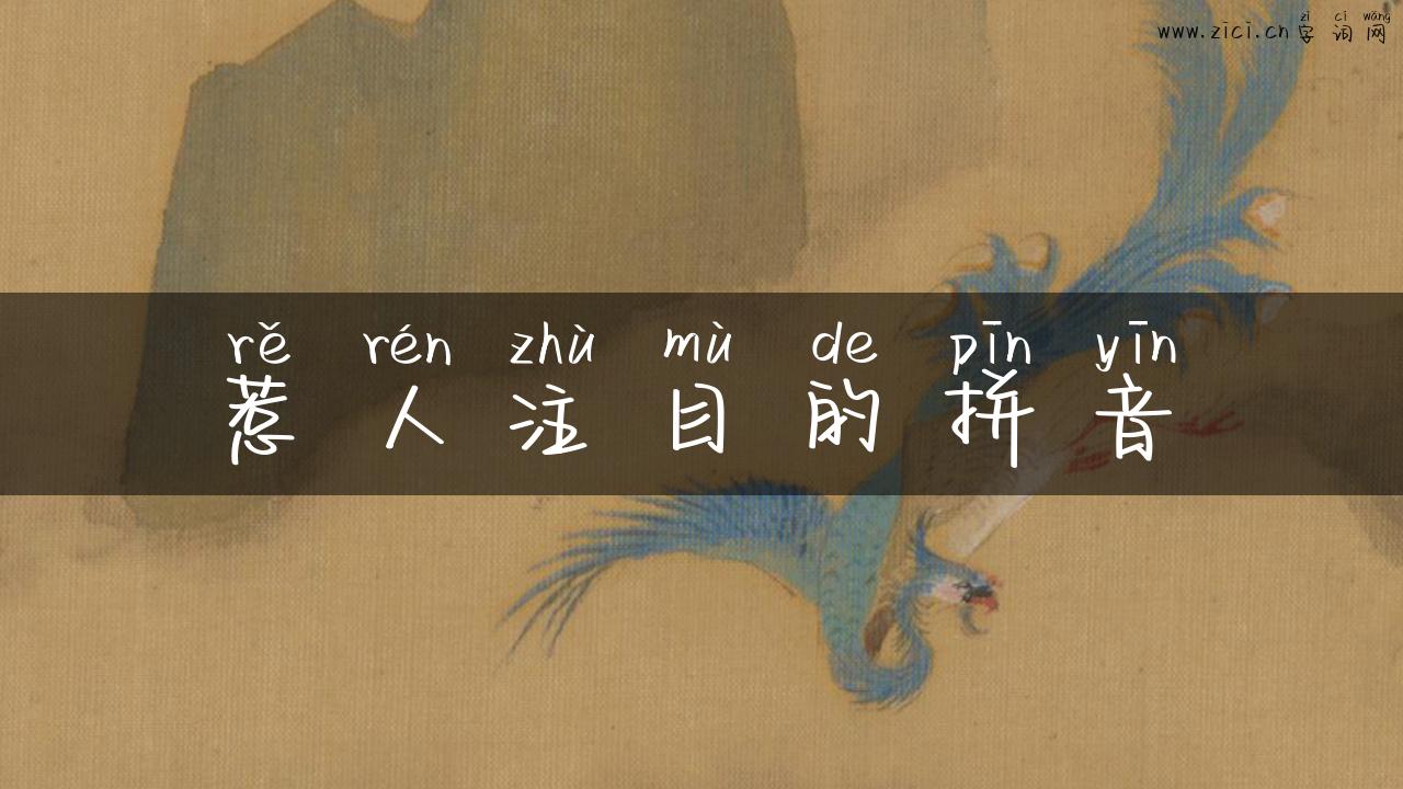 惹人注目的拼音