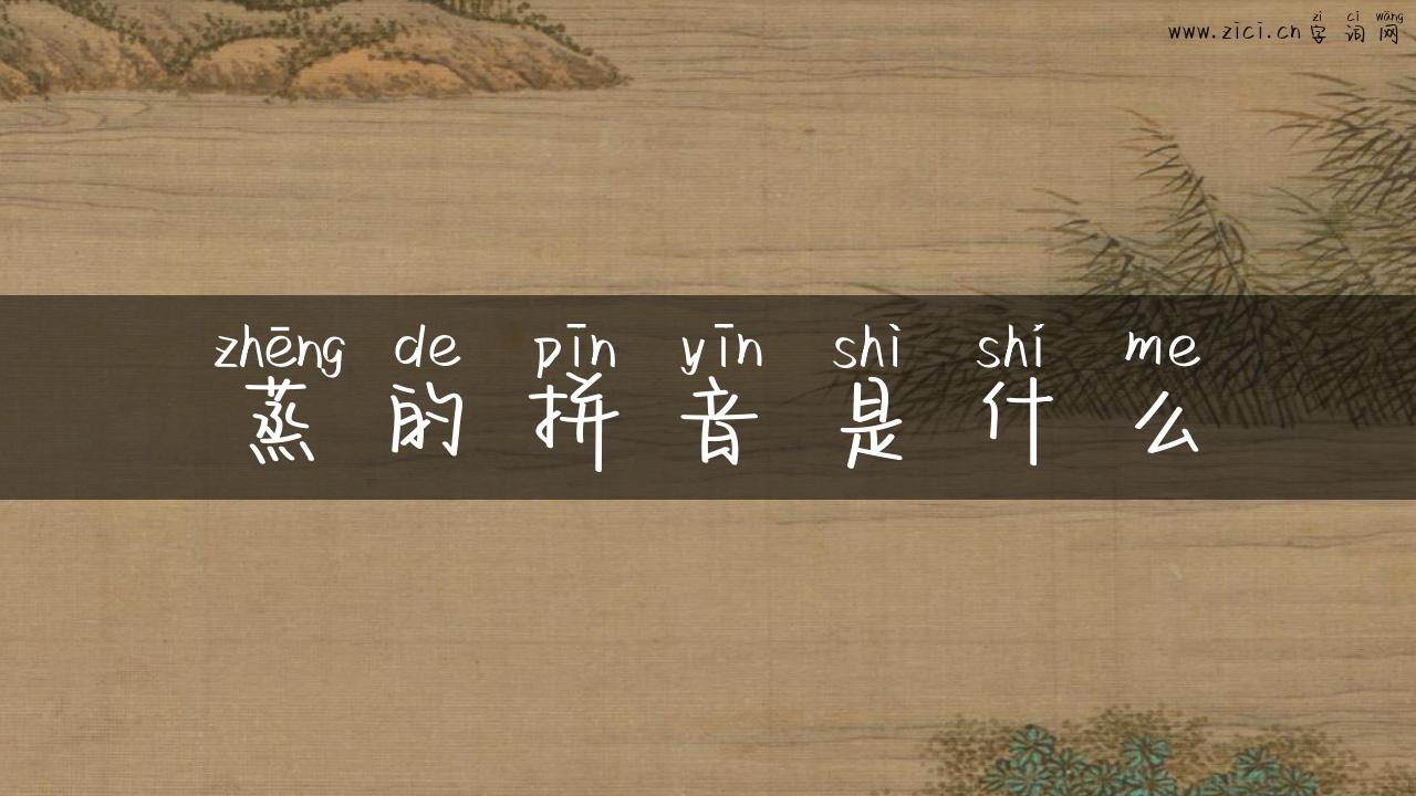 蒸的拼音是什么