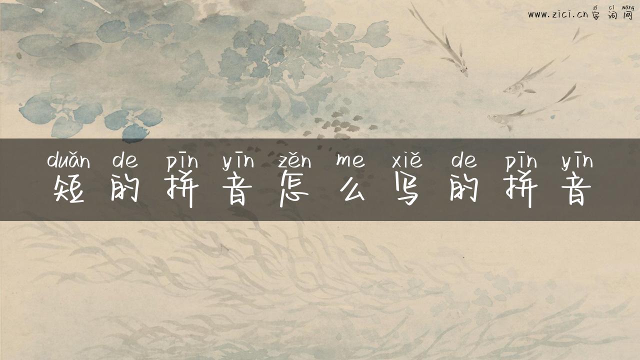 短的拼音怎么写的拼音