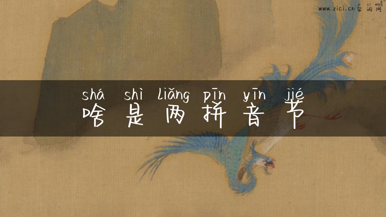 啥是两拼音节