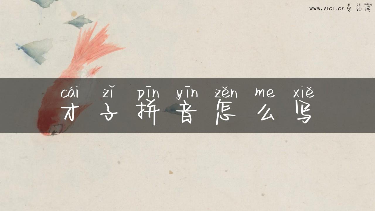 才子拼音怎么写