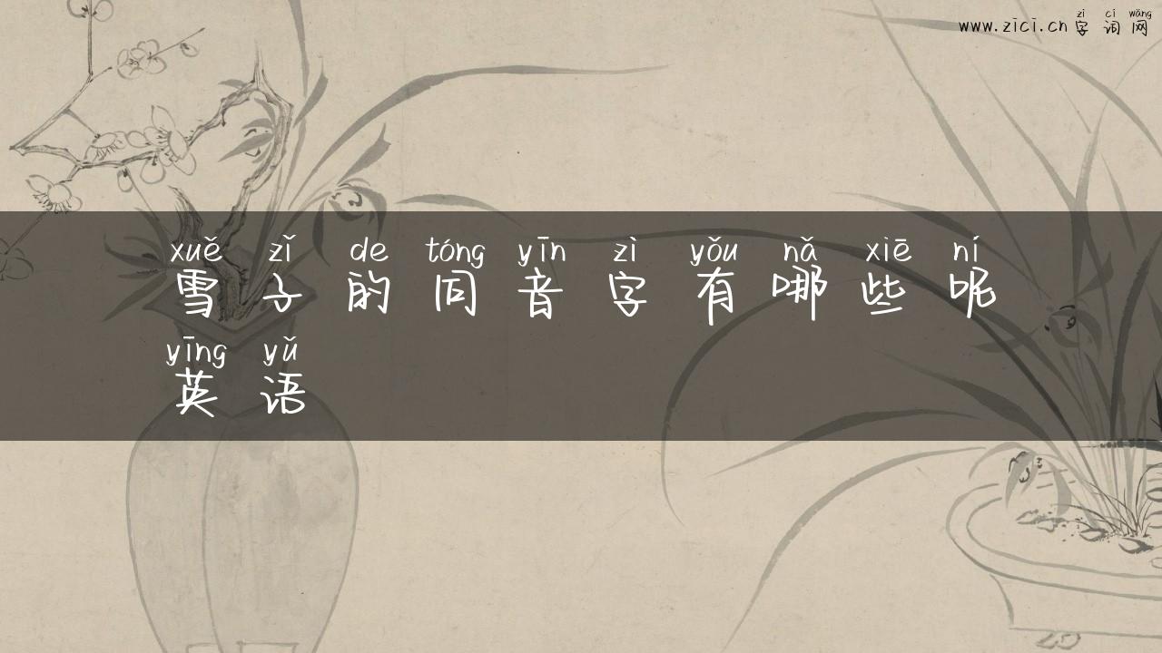 雪子的同音字有哪些呢英语