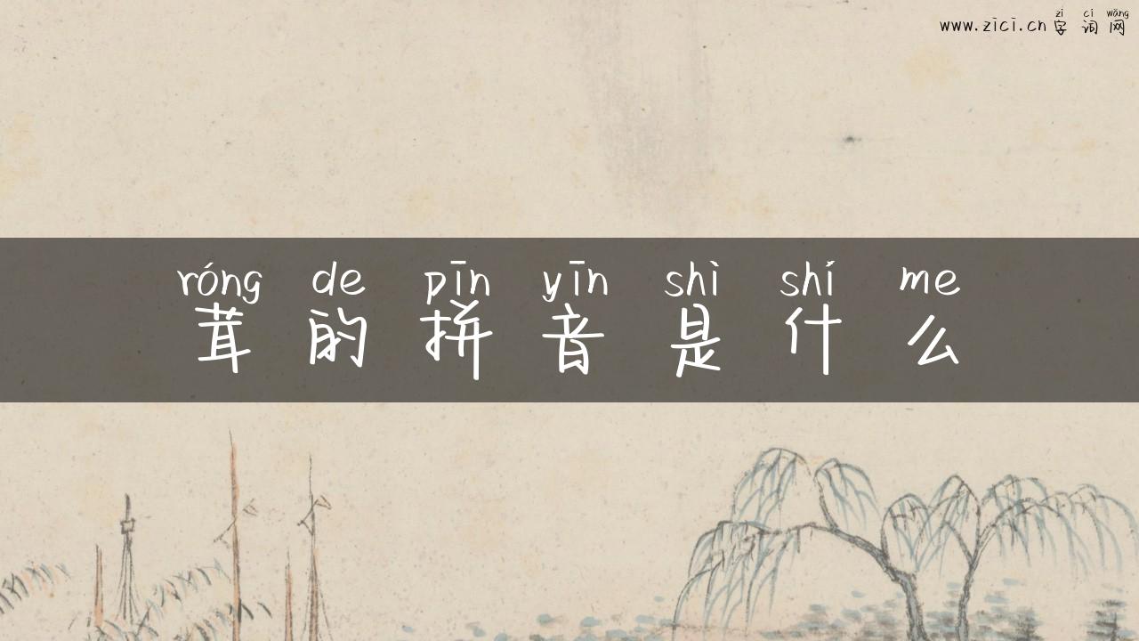茸的拼音是什么