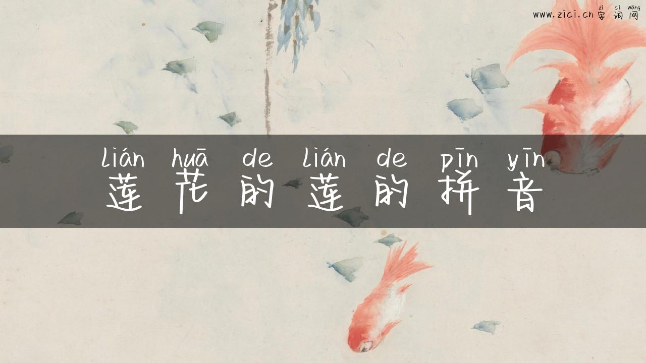 莲花的莲的拼音