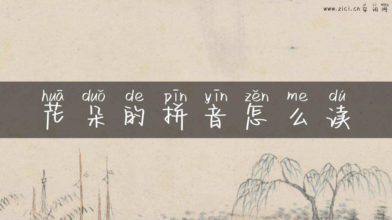 花朵的拼音怎么读