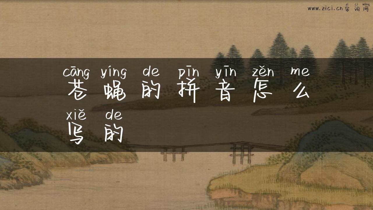 苍蝇的拼音怎么写的