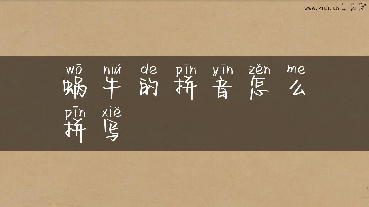 蜗牛的拼音怎么拼写