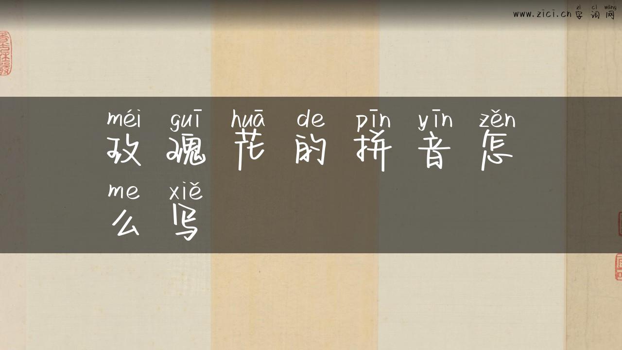 玫瑰花的拼音怎么写