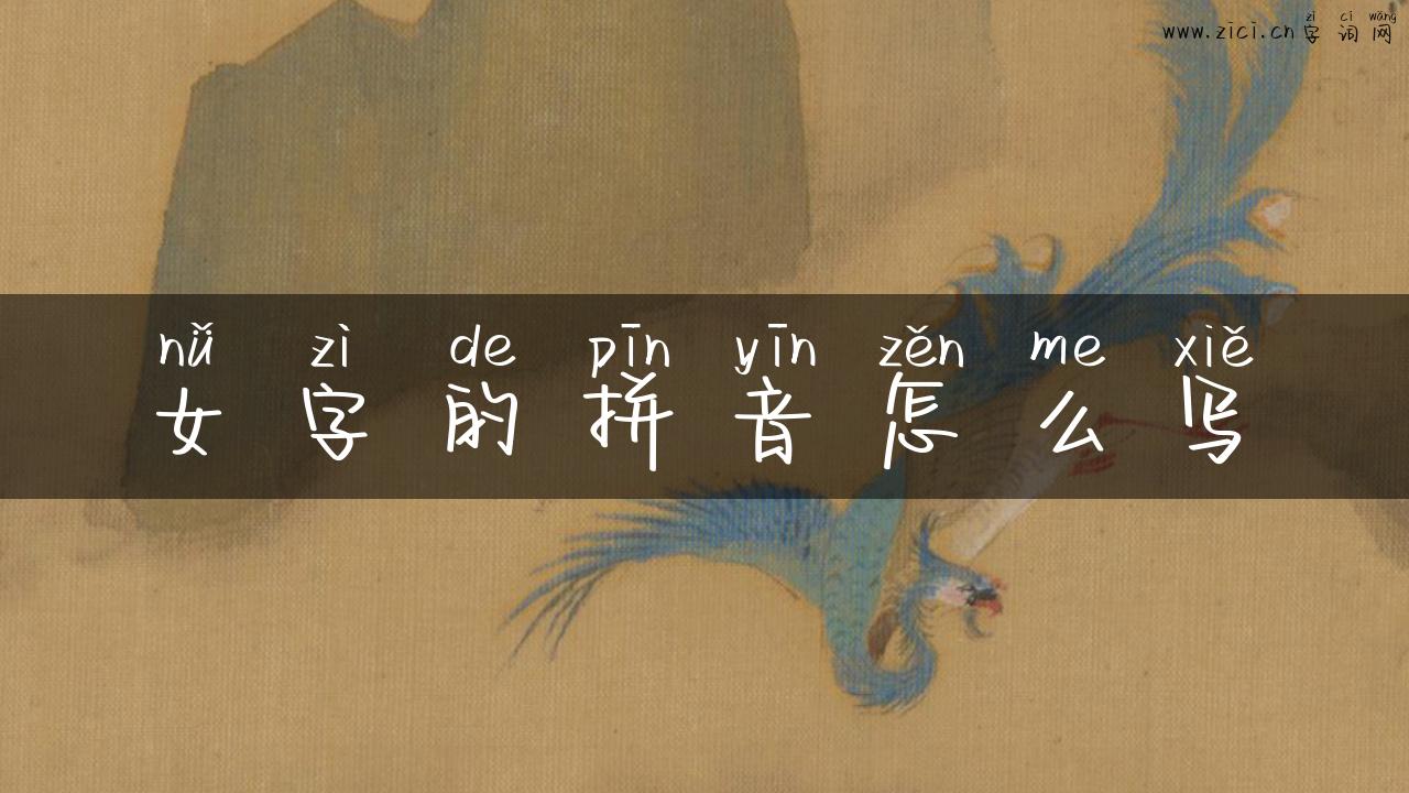 女字的拼音怎么写