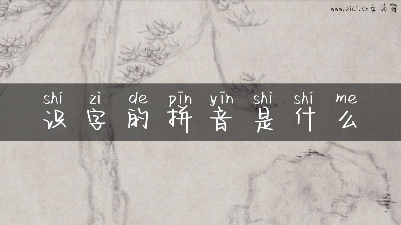识字的拼音是什么