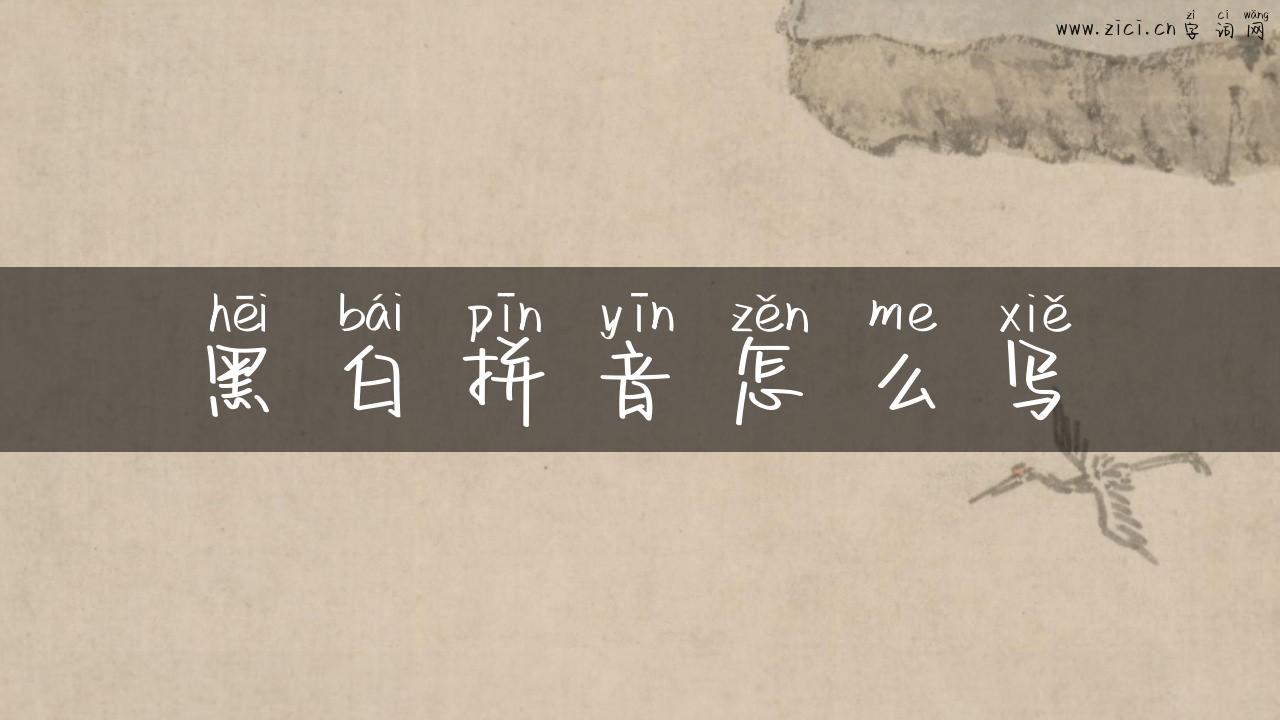 黑白拼音怎么写