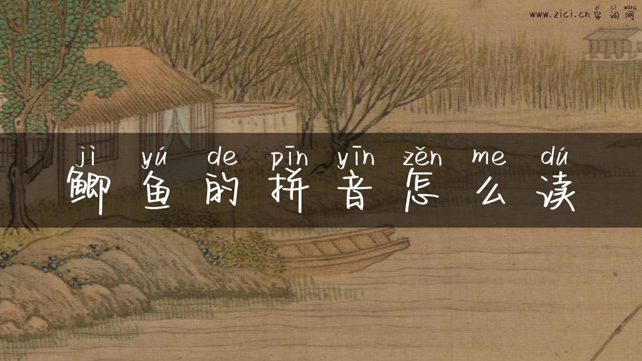 鲫鱼的拼音怎么读