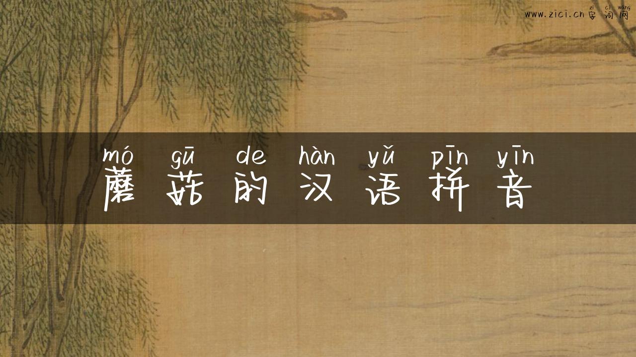 蘑菇的汉语拼音