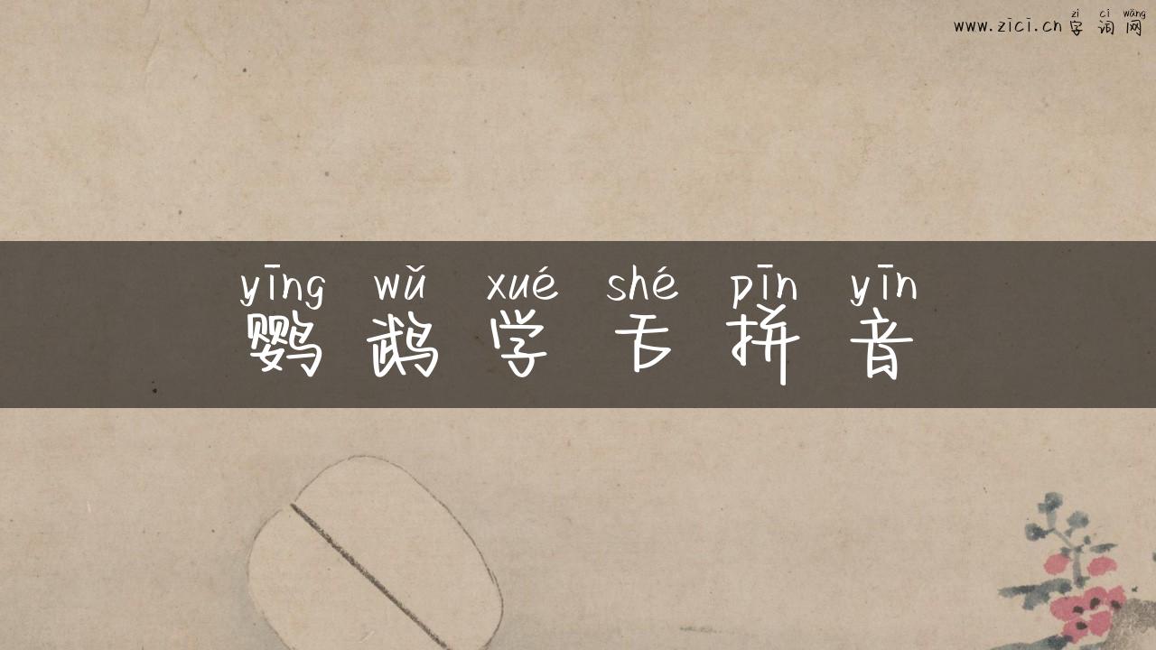 鹦鹉学舌拼音