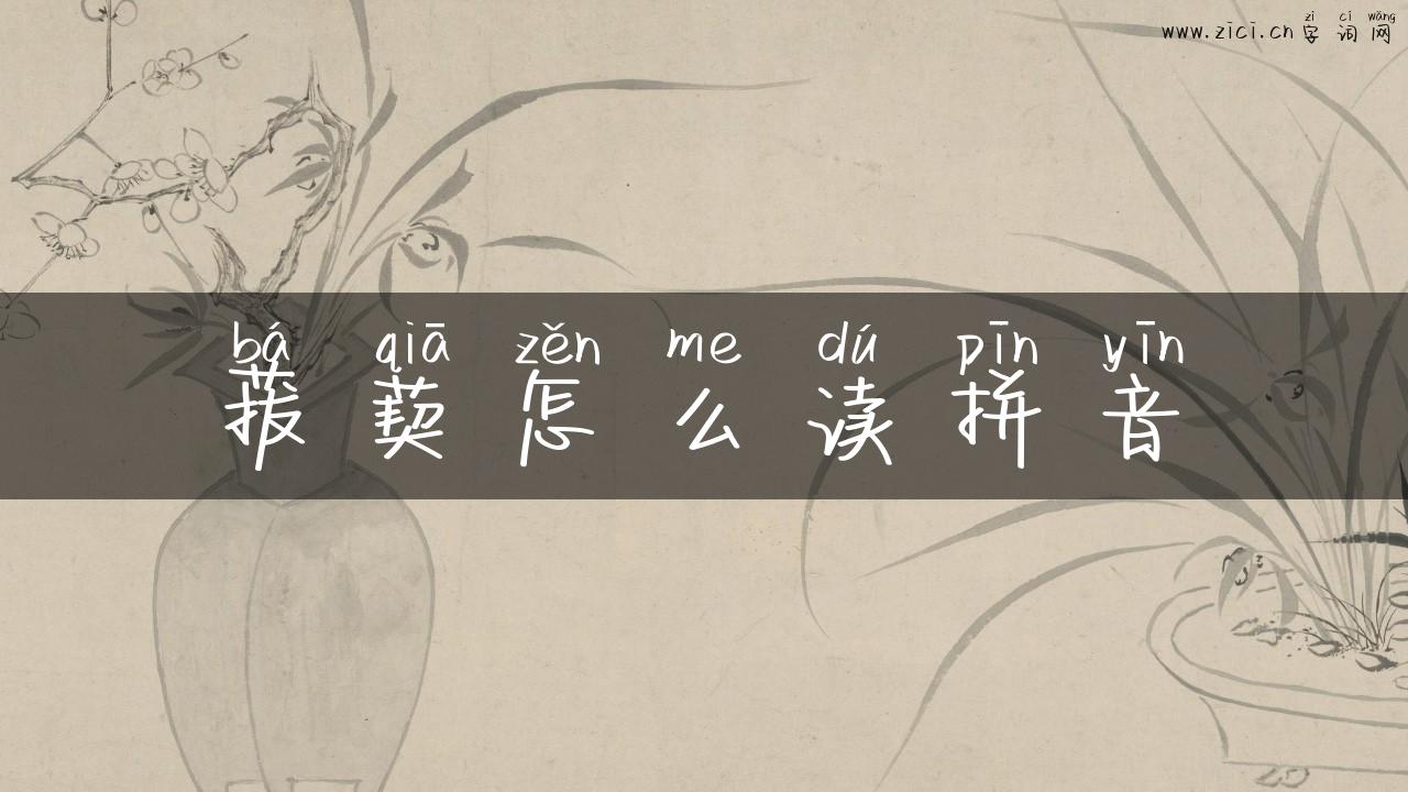 菝葜怎么读拼音