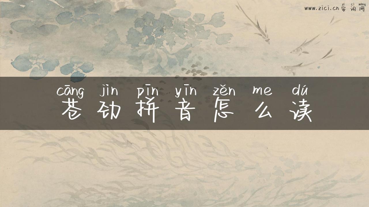 苍劲拼音怎么读