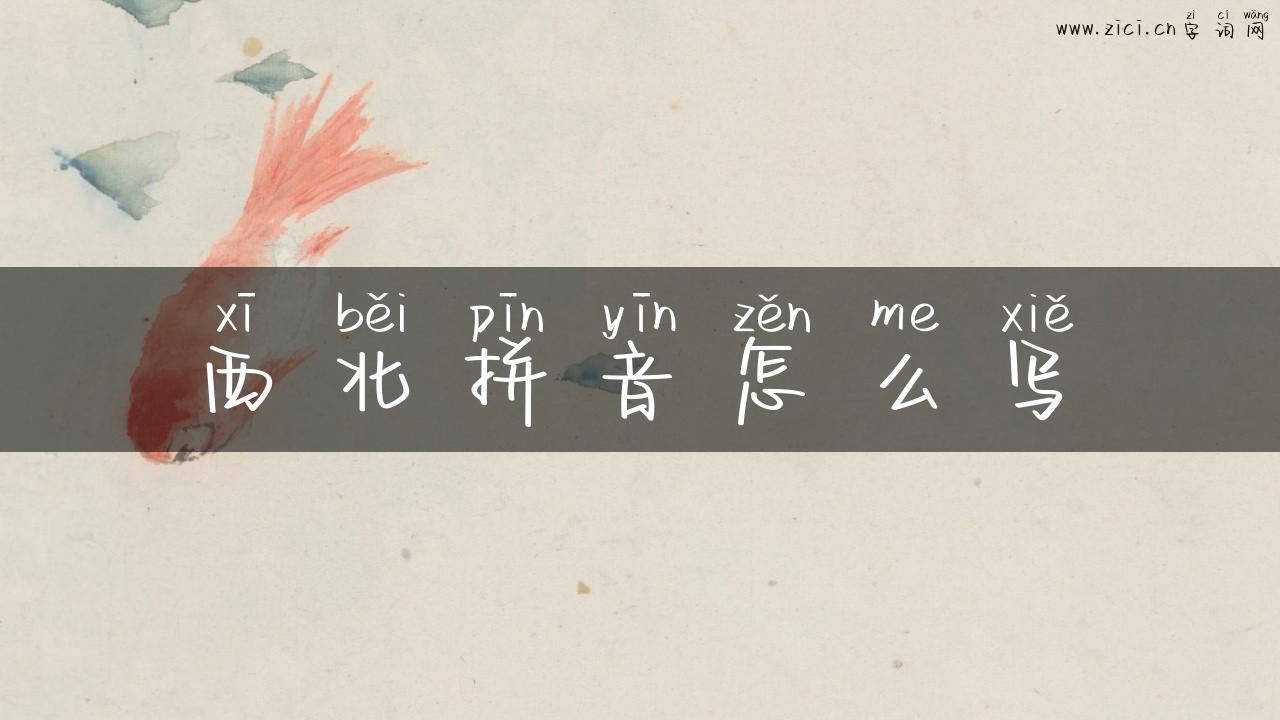 西北拼音怎么写