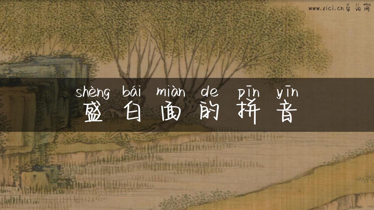 盛白面的拼音