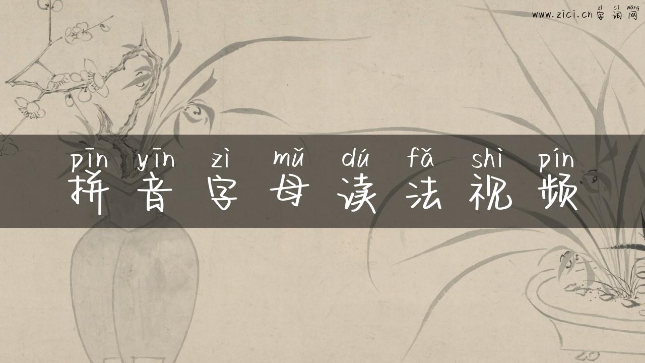 拼音字母读法视频