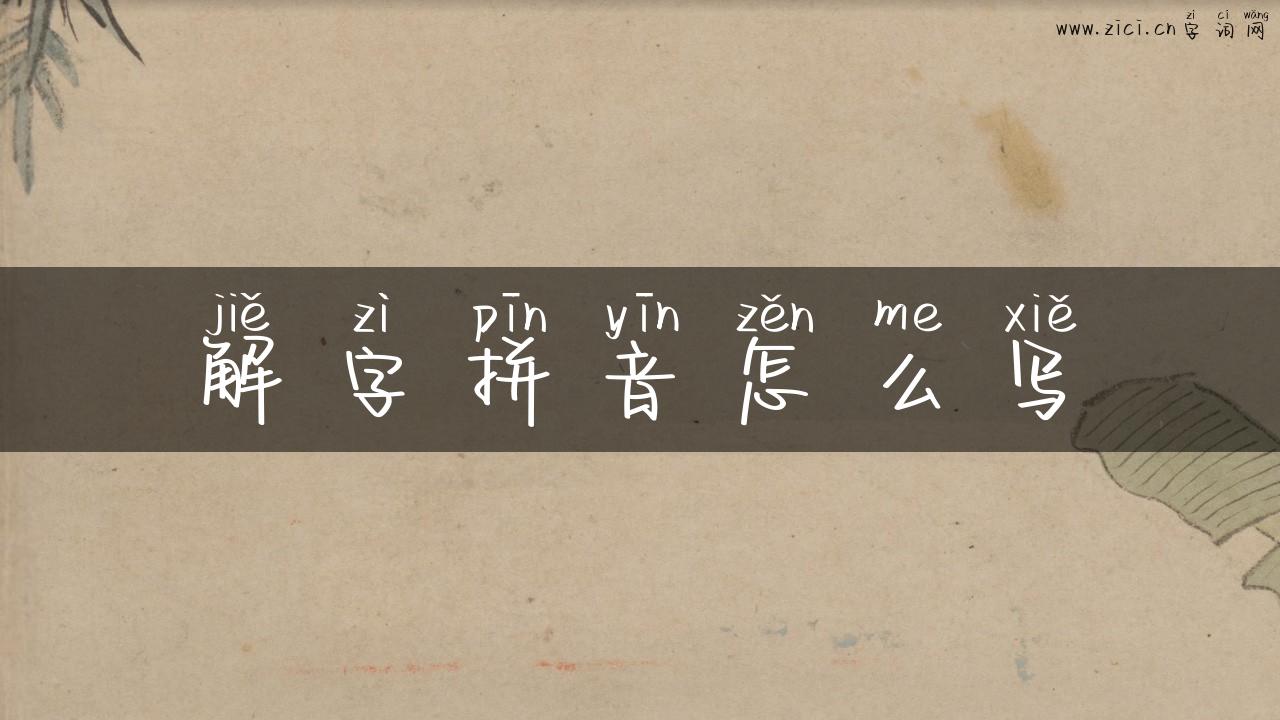 解字拼音怎么写