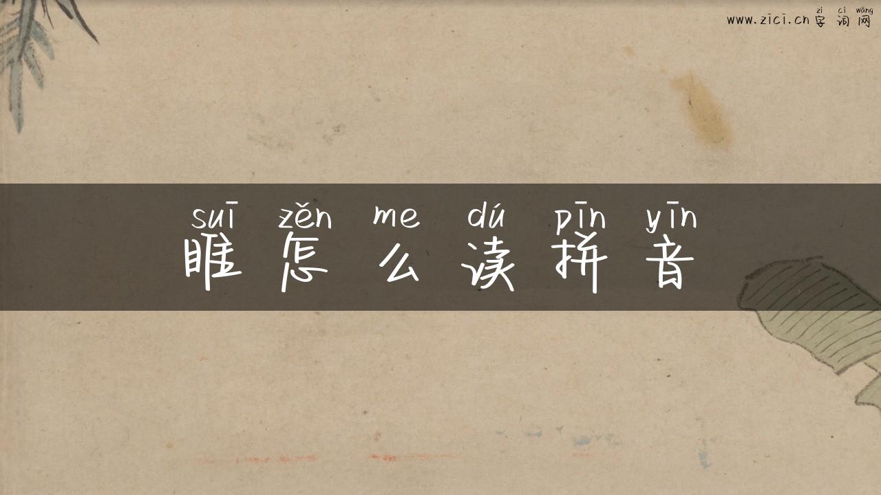 睢怎么读拼音