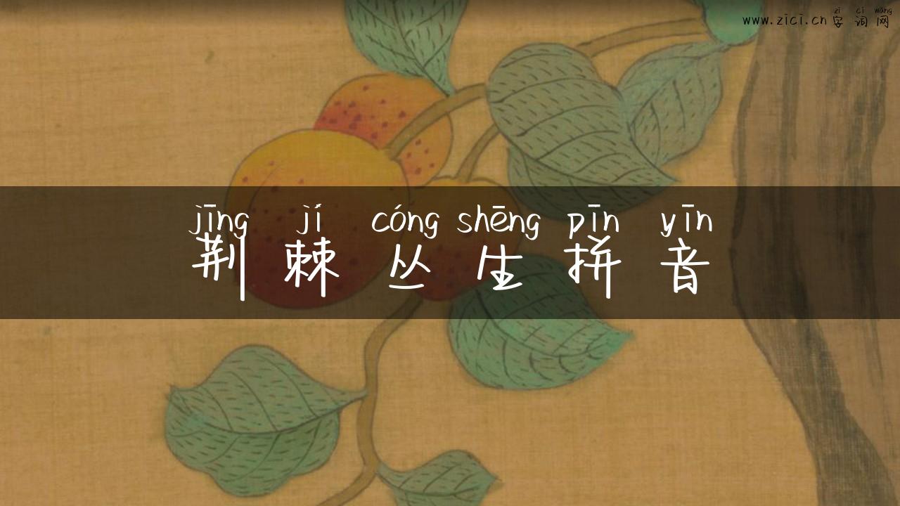 荆棘丛生拼音