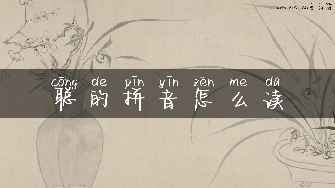 聪的拼音怎么读