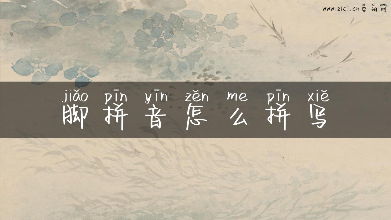脚拼音怎么拼写