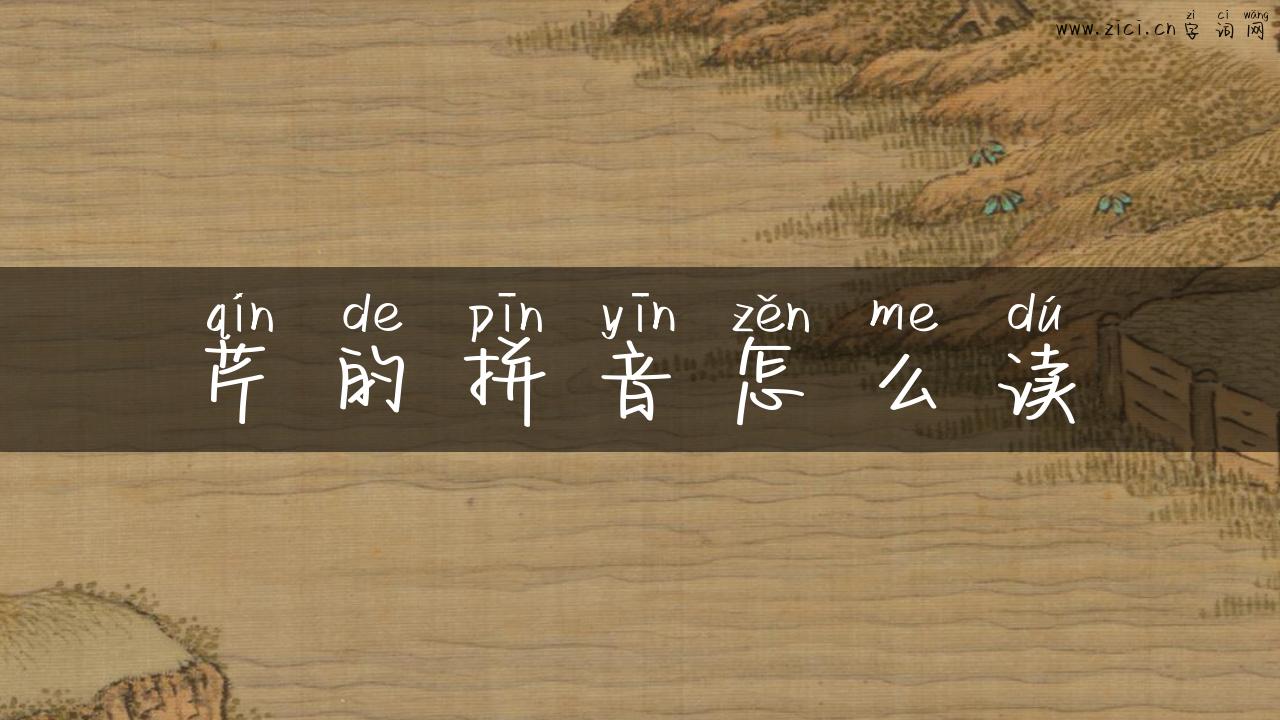 芹的拼音怎么读