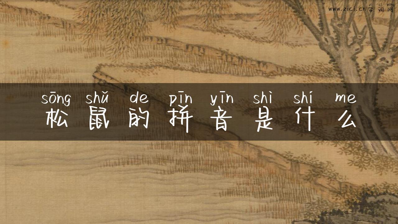 松鼠的拼音是什么
